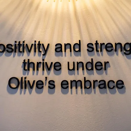 Artchroma House קרטראדוס