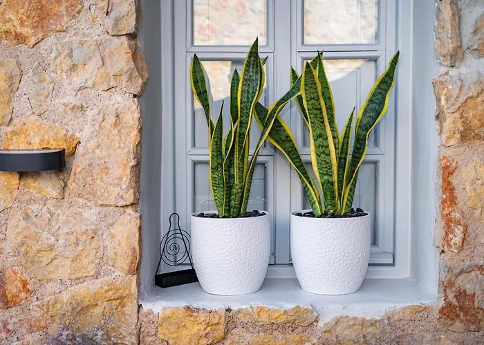 Artchroma House Апартаменты